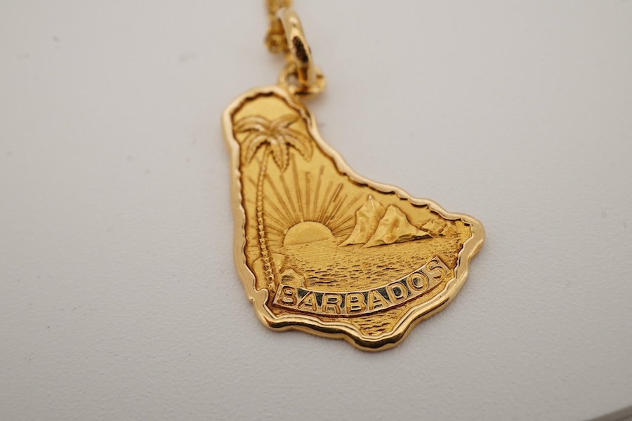 A yellow metal 'Barbados' pendant, 22mm, on a 10kt fine link chain, gross weight 4 grams. Condition - fair to good